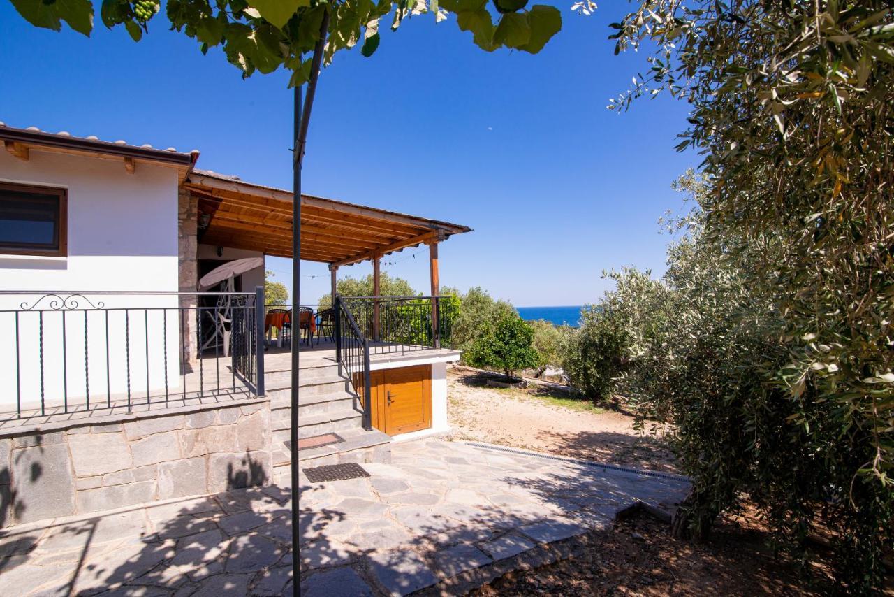 Archodissa Villa Thimonia Exterior photo